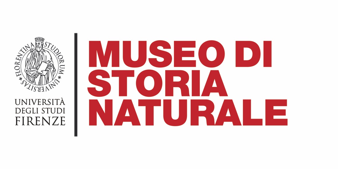 logo MUSEO BIG COLORE10x5